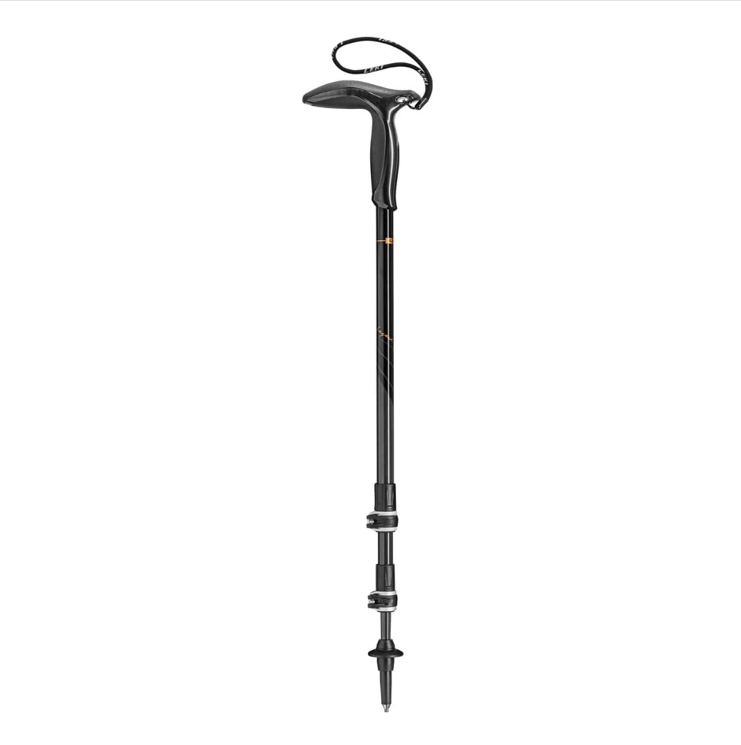 Walking stick